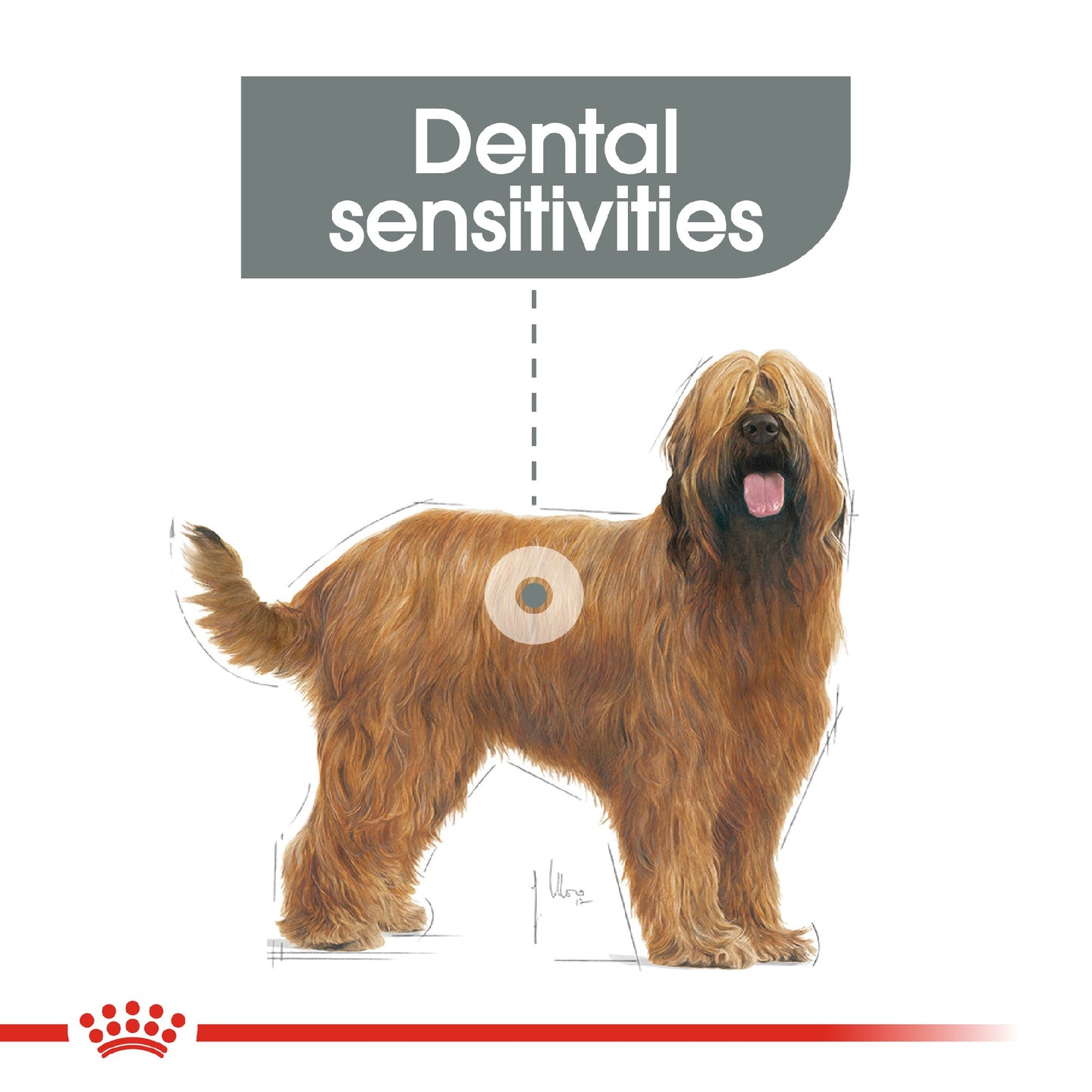 Royal Canin Dog Dental Care Maxi 9kg
