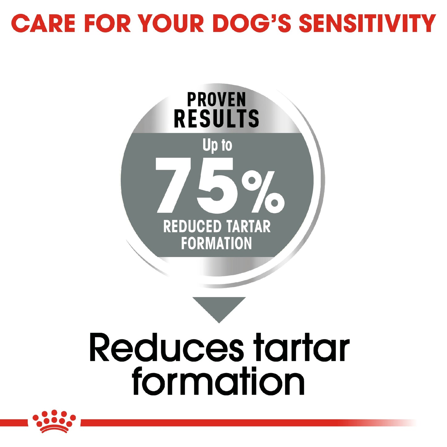 Royal Canin Dog Dental Care Maxi 9kg