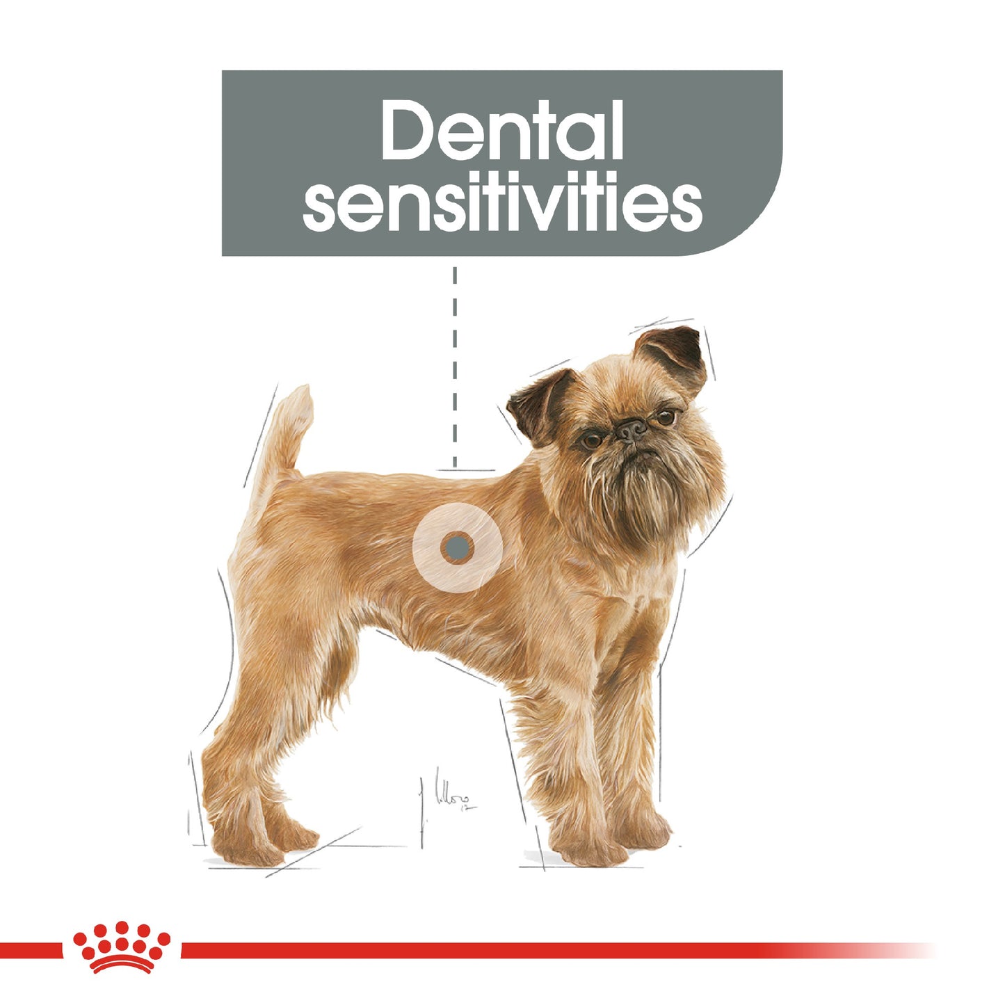 Royal Canin Dog Dental Care Mini 3kg
