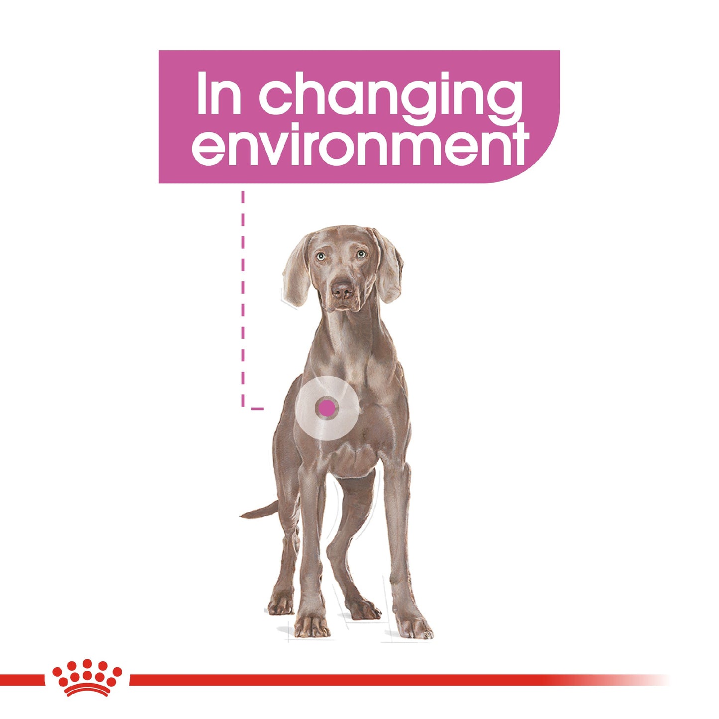 Royal Canin Dog Relax Care Maxi 9kg