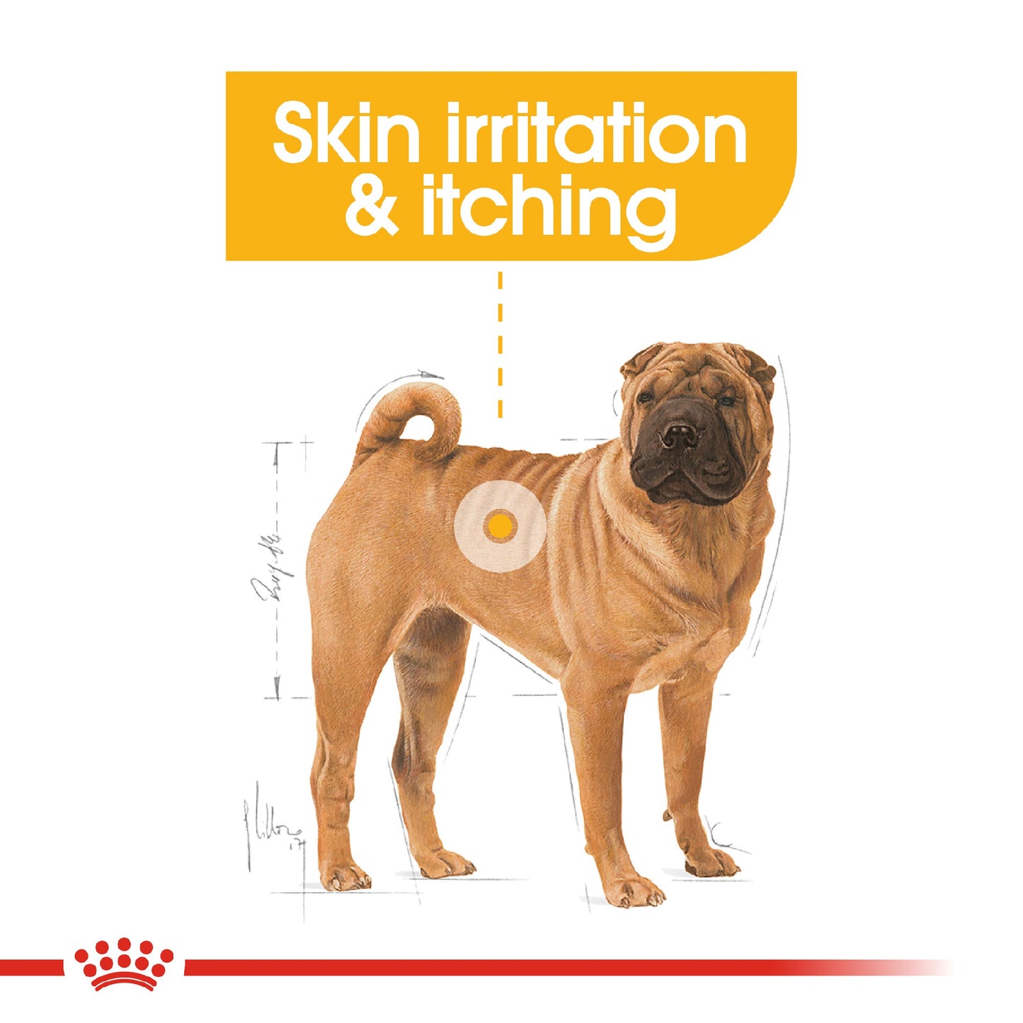 Royal Canin Dog Medium Dermacomfort 12kg