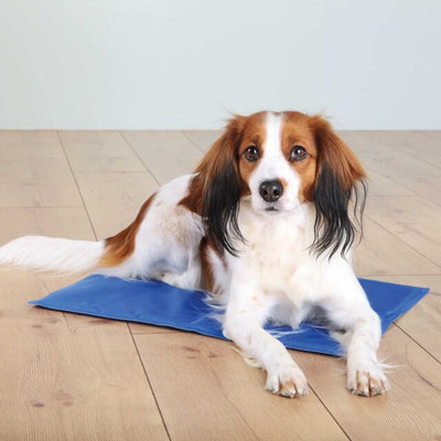 Trixie Cooling Mat - Small (30cm x 40cm)