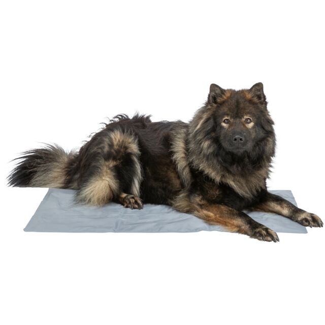 Trixie Cooling Mat - Medium (40cm x 50cm)