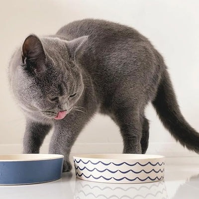 Beco Printed Bamboo Cat Bowl Midnight Blue