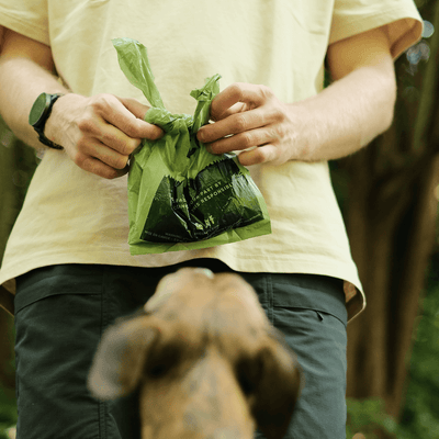 Beco Poop Bags Unscented with Handles 60pk