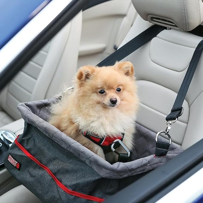 Kong Secure Booster Seat