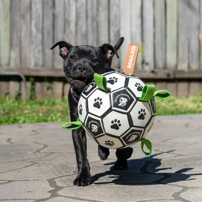 Ronaldog Soccer Ball