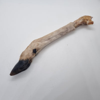 The Pawfect Butcher Small Deer Trotters