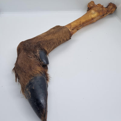 The Pawfect Butcher Large Deer Trotters