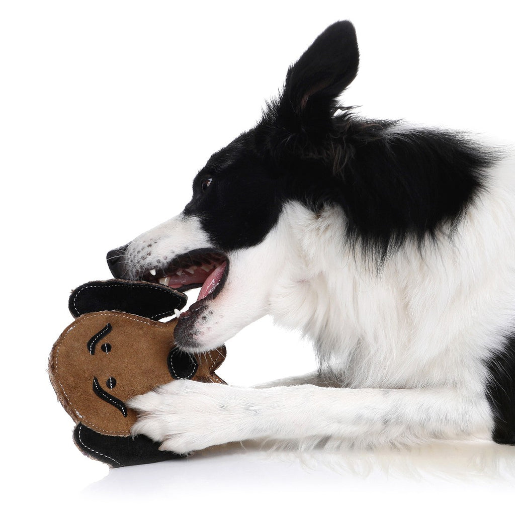 Buy Sustainable Dog Toys Online Australia Country Tails Squeaky Brown