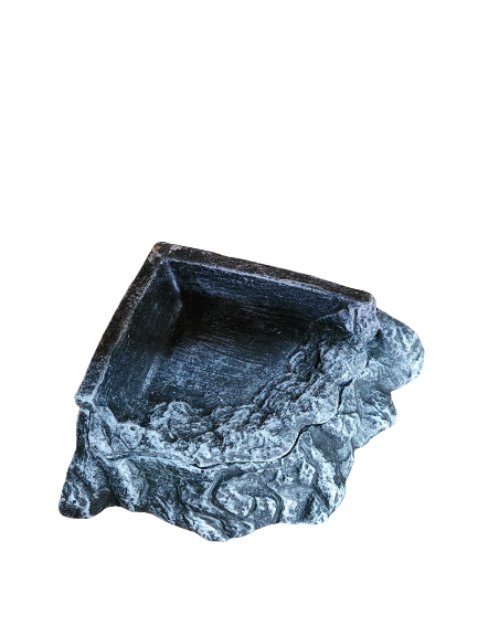 Get Your Pet Right 2 In 1 Water Dish