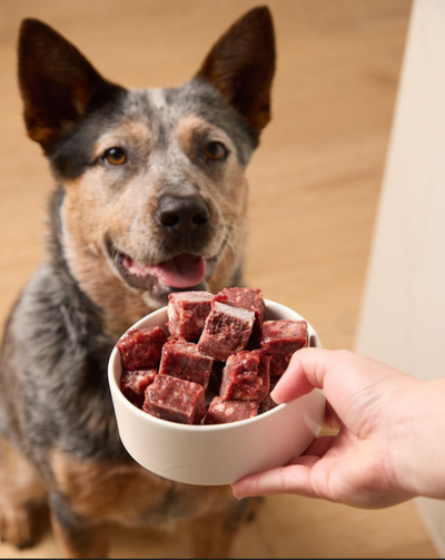 Fresha Beef Offal Cubes 500g *in store pick up only