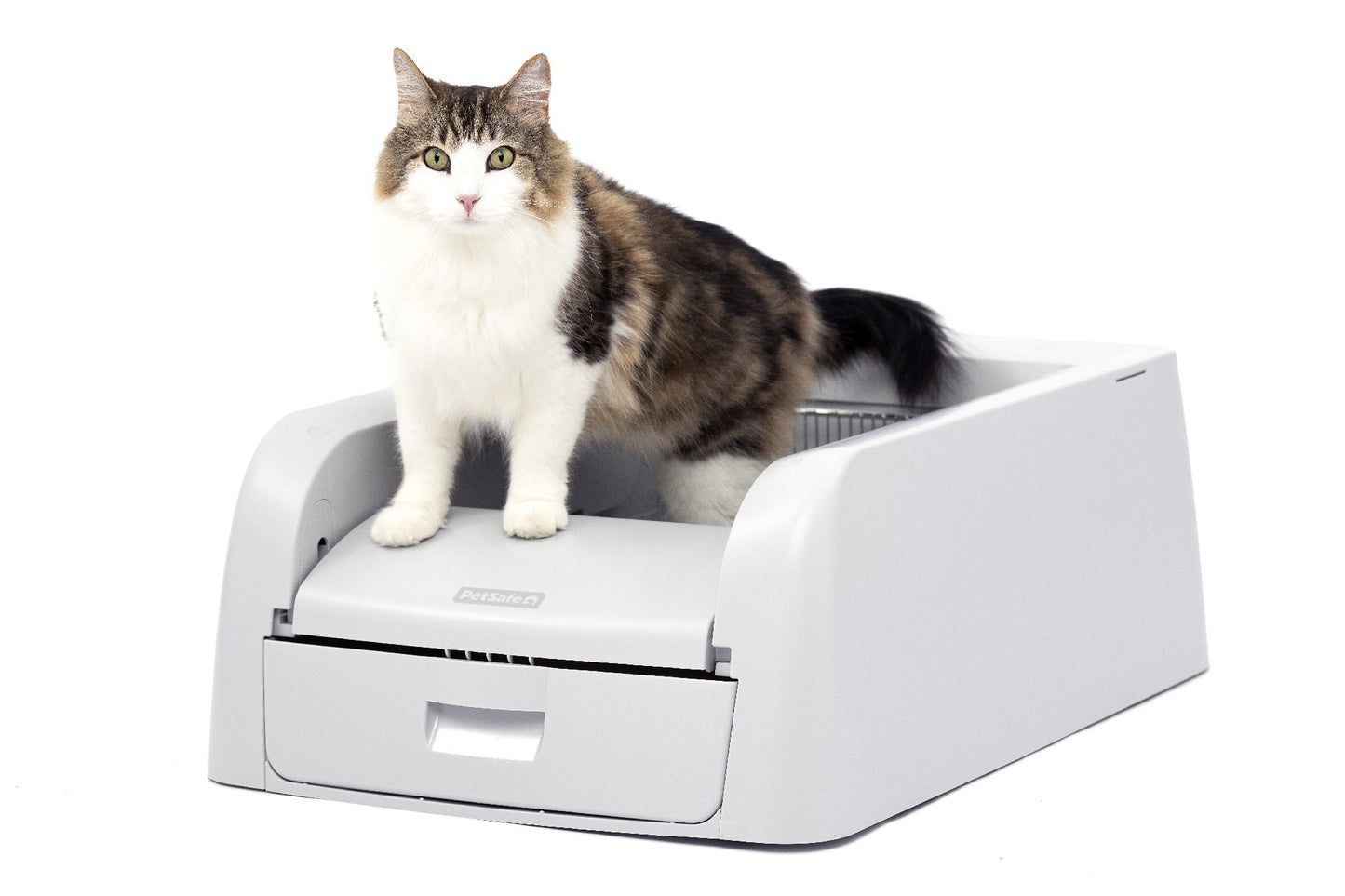 Scoopfree Clumping Litter Box