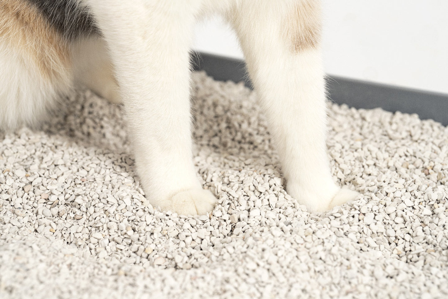 Scoopfree Natural Litter 3.6kg Bag