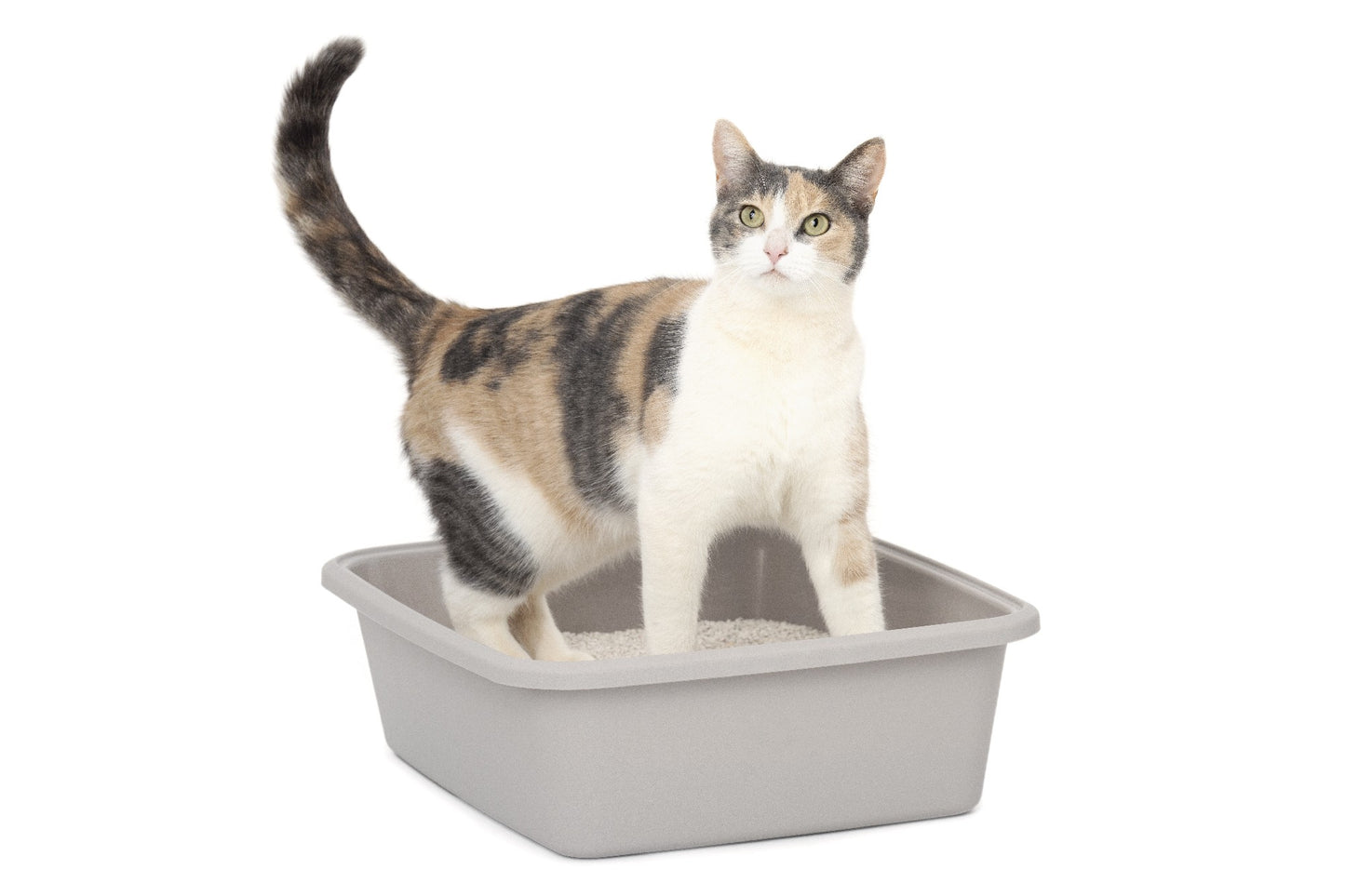 Scoopfree Natural Litter 3.6kg Bag