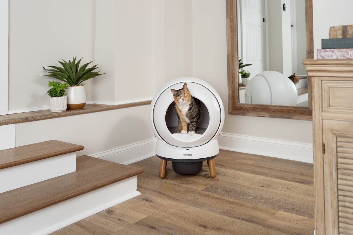Scoopfree Smartspin Auto Litter Box Intl