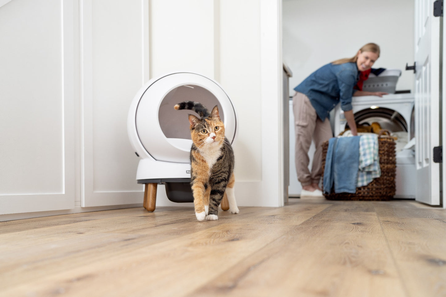 Scoopfree Smartspin Auto Litter Box Intl