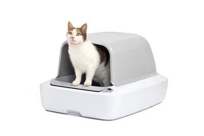 Scoopfree Pro V2 Hooded Cat Litterbox Intl