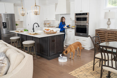 Petsafe Outlast Pet Fountain 3.7L Intl