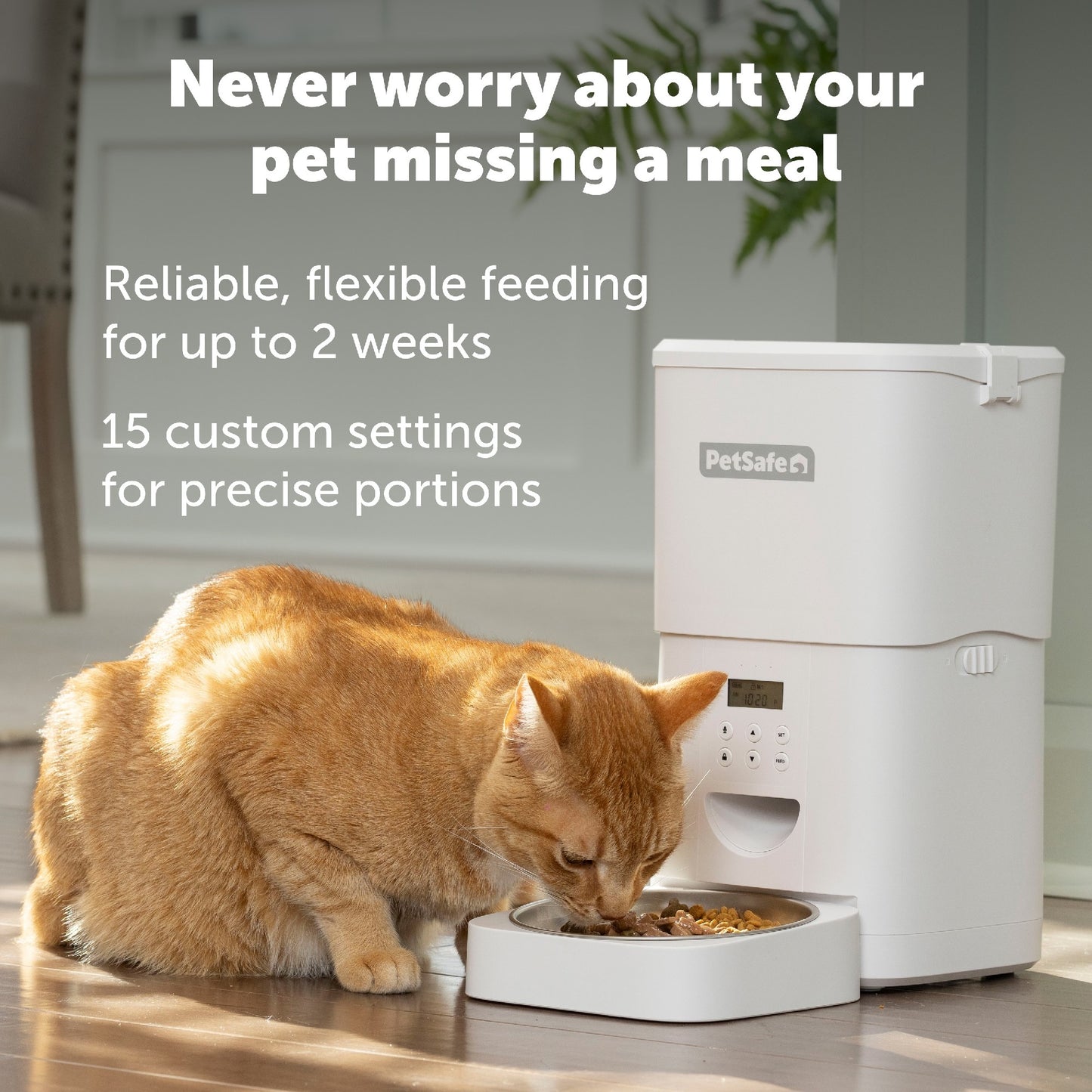 PetSafe FlexFeed Automatic Pet Feeder