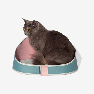 Zee.Cat Bed – Kombucha