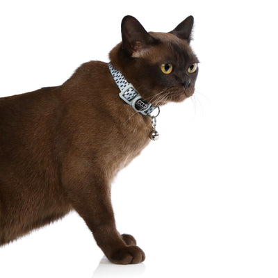 Caat Quick-Release Cat Collar DASH - Cat
