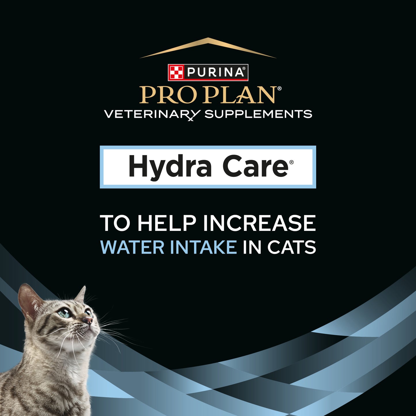 Proplan Cat Hydra 75G 12'S