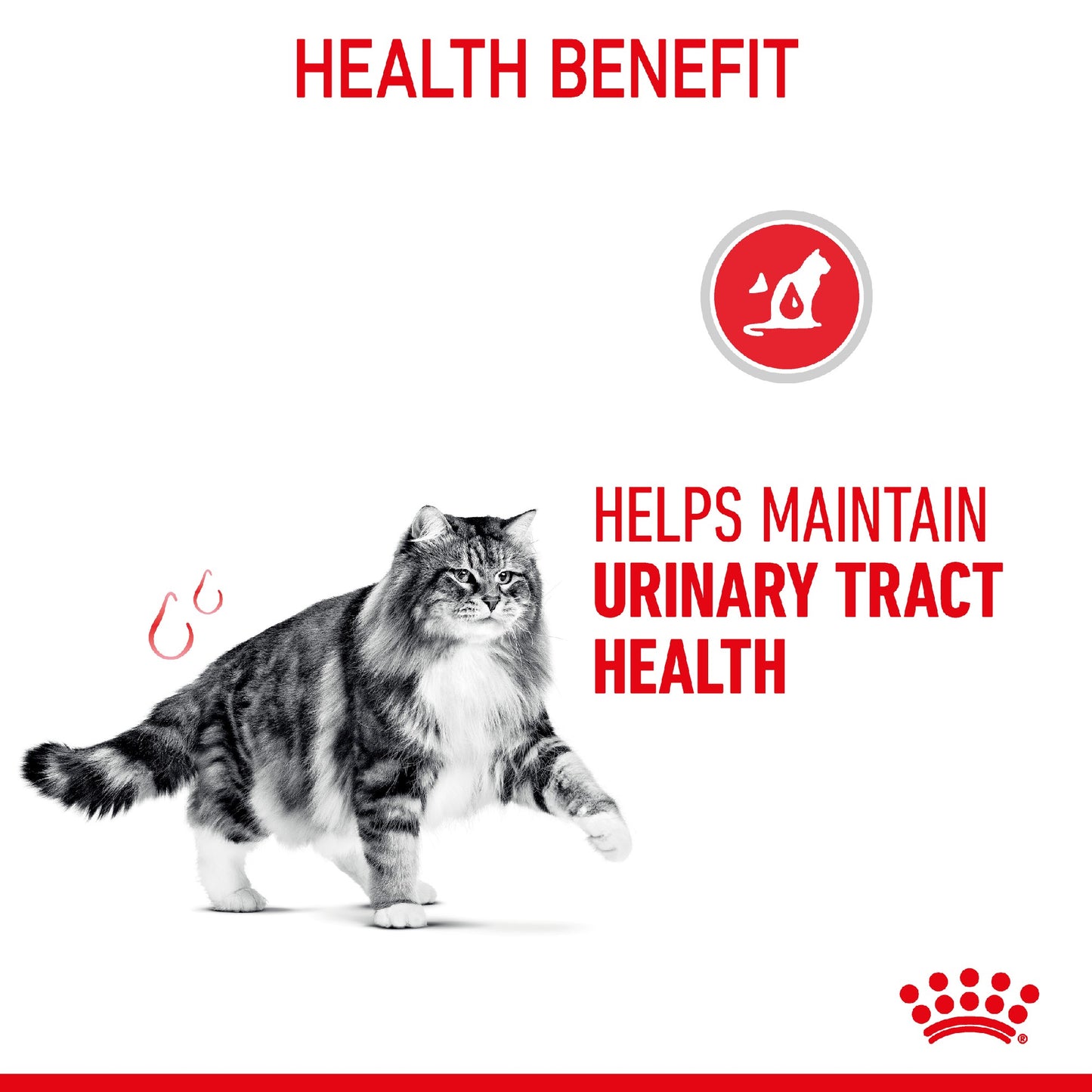 Royal Canin Cat Urinary Care 85g Pouch