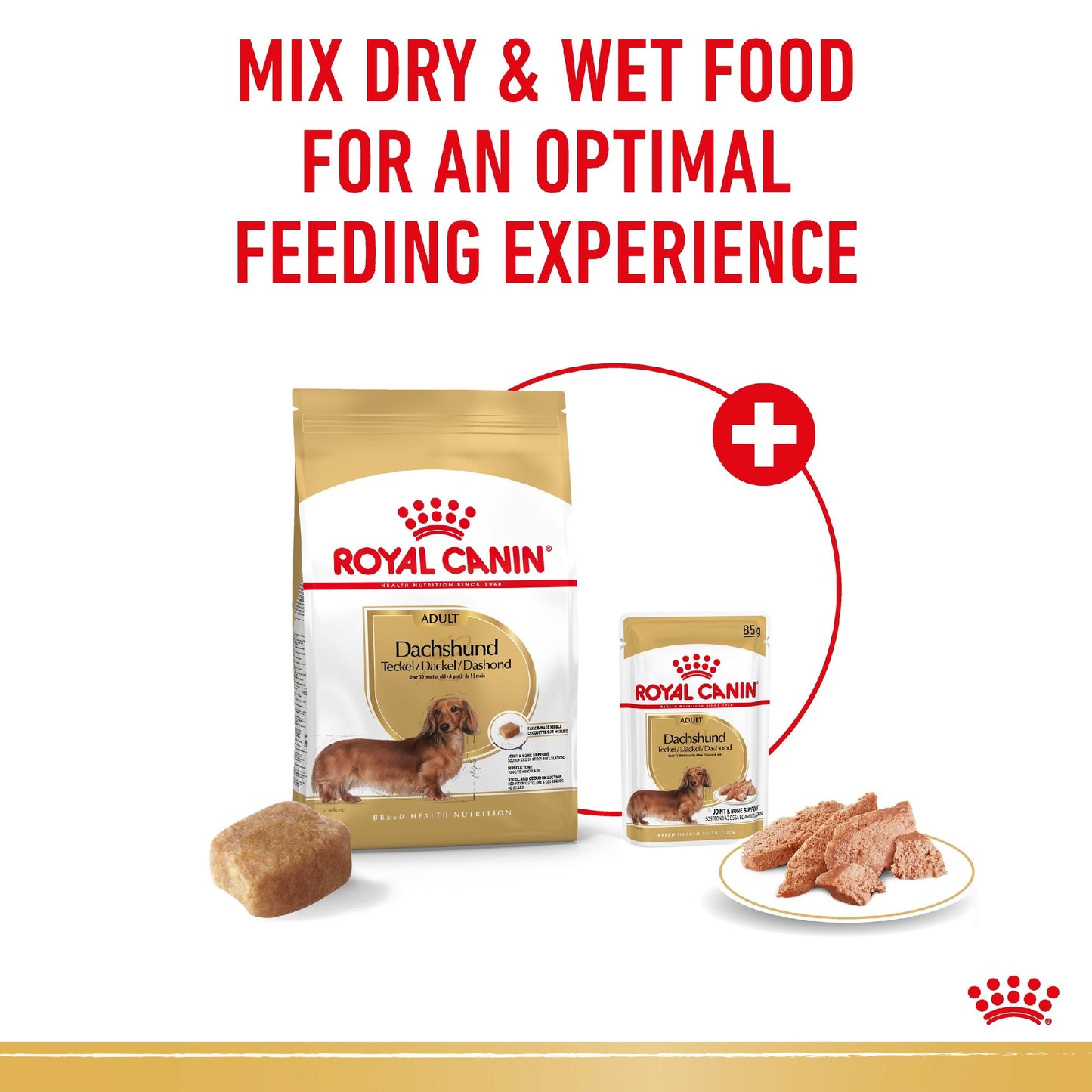 Royal Canin Dog Dachshund 85g Pouch