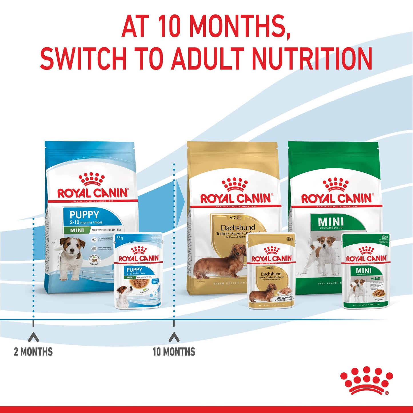 Royal Canin Dog Mini Puppy 85g Pouch