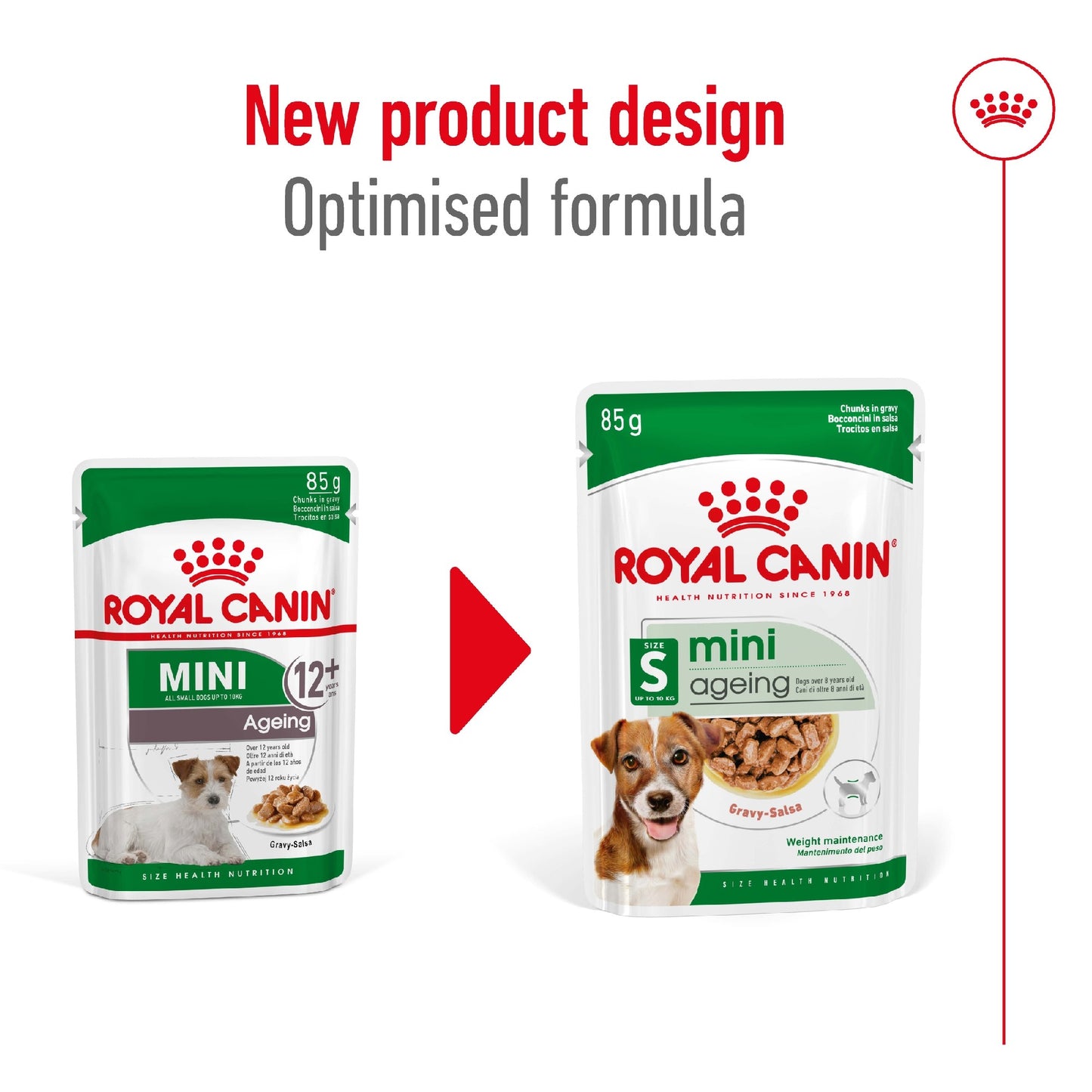 Royal Canin Dog Mini Ageing 12+ 85g Pouch