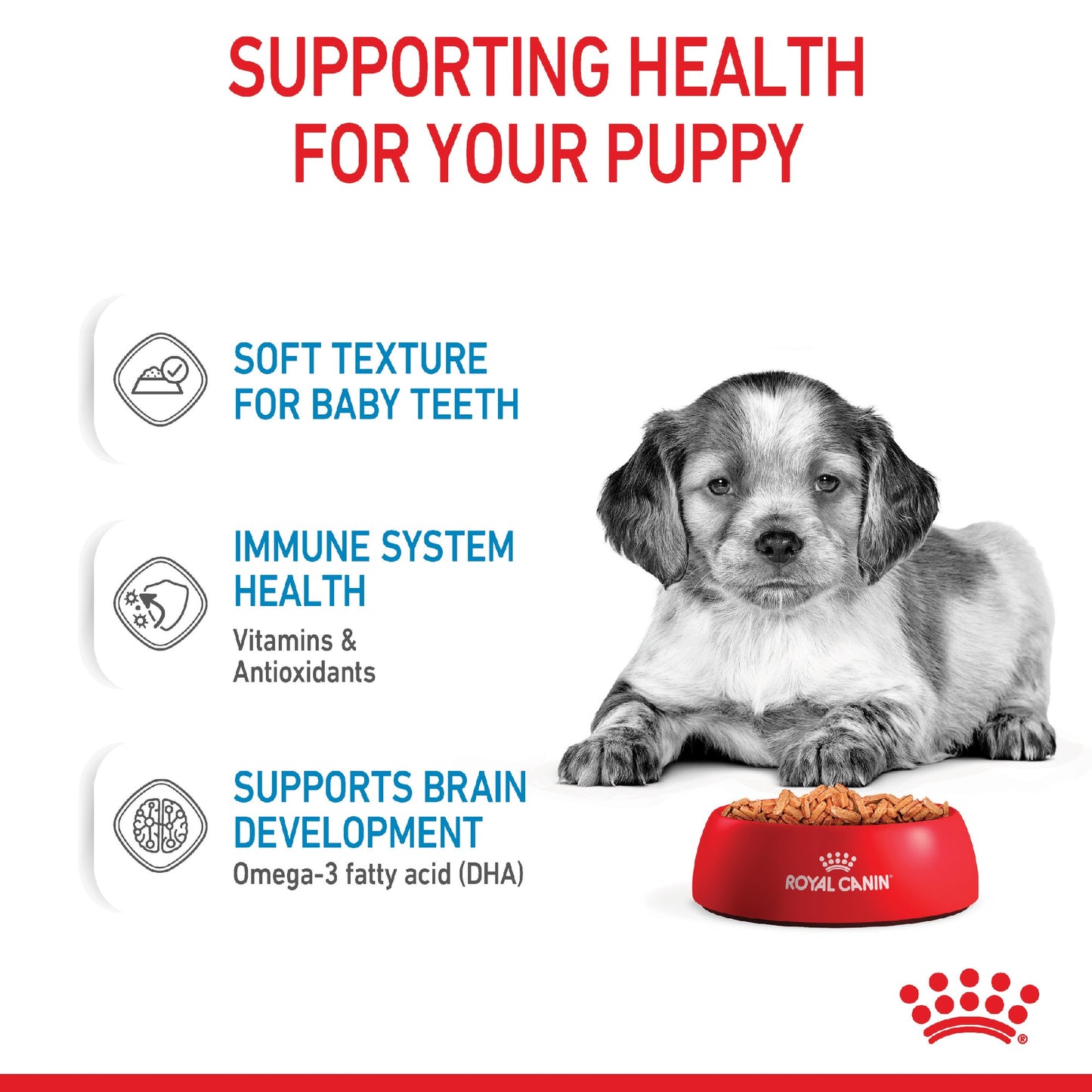 Royal Canin Dog Medium Puppy 140g Pouch