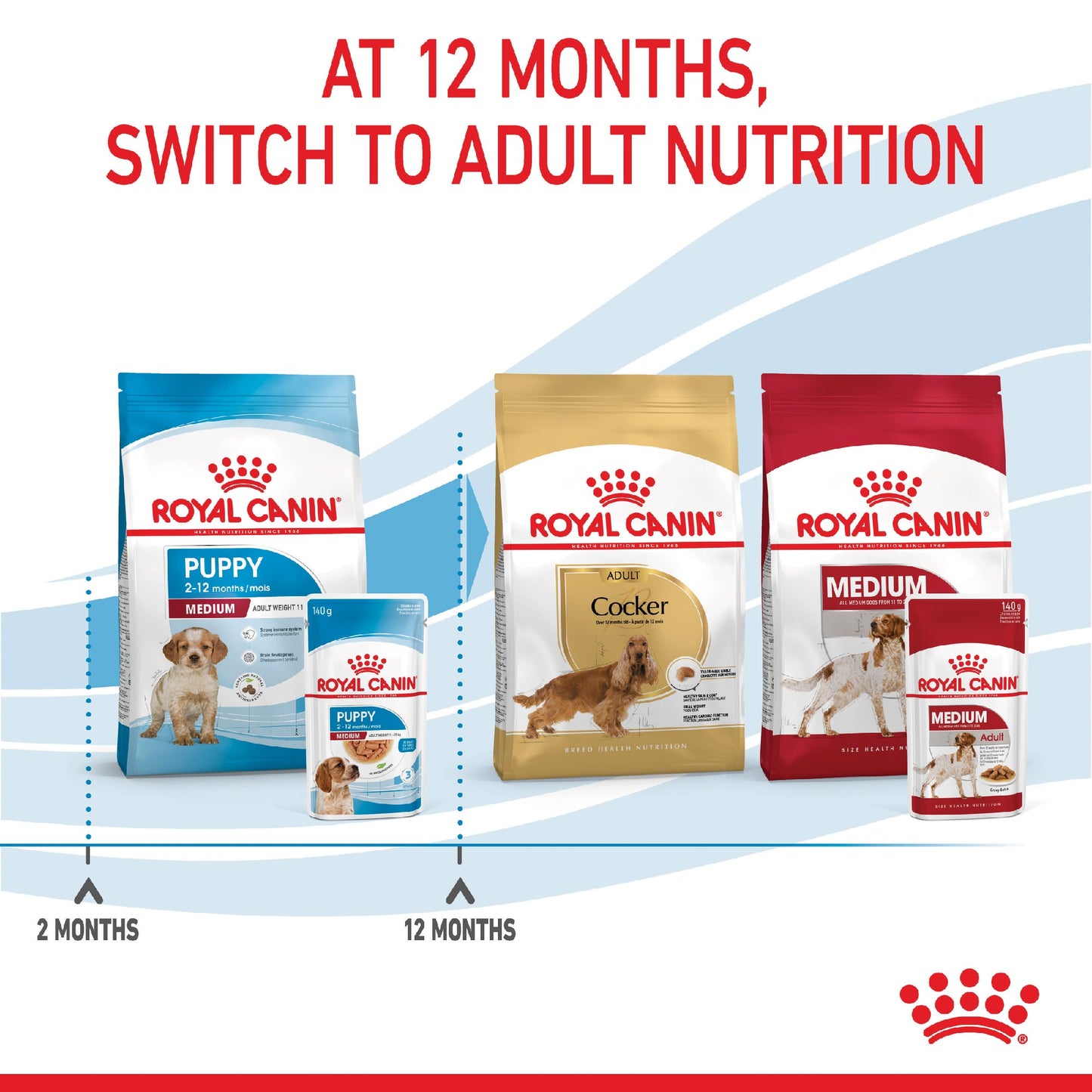 Royal Canin Dog Medium Puppy 140g Pouch