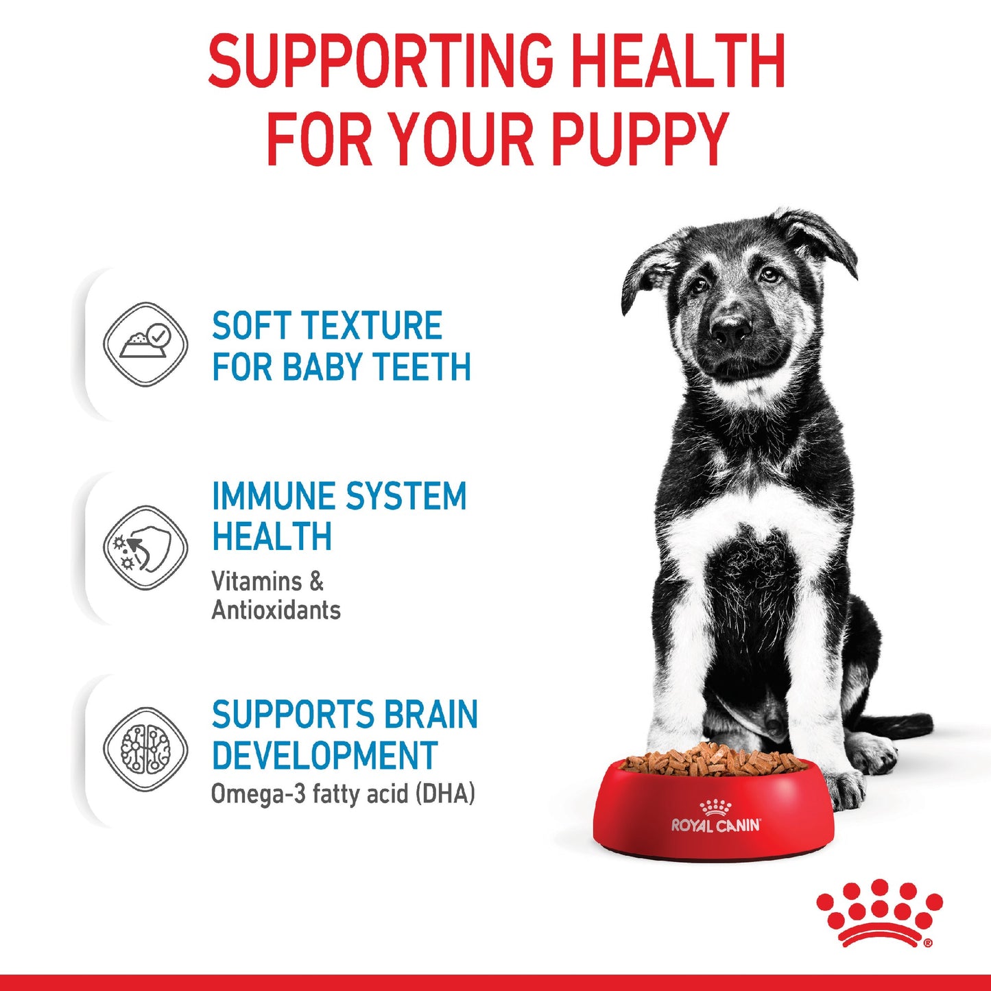 Royal Canin Dog Maxi Puppy 140g Pouch