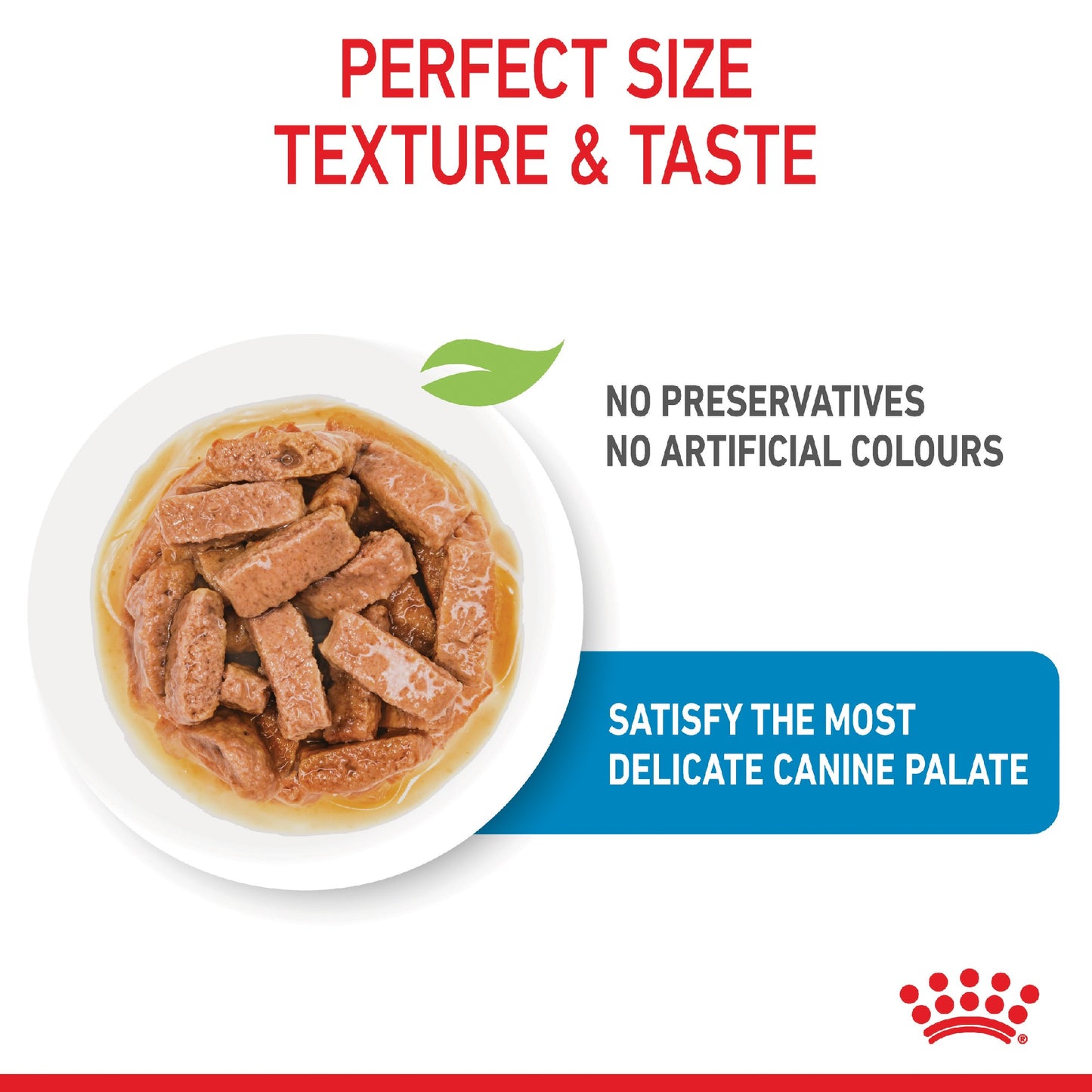 Royal Canin Dog Maxi Puppy 140g Pouch