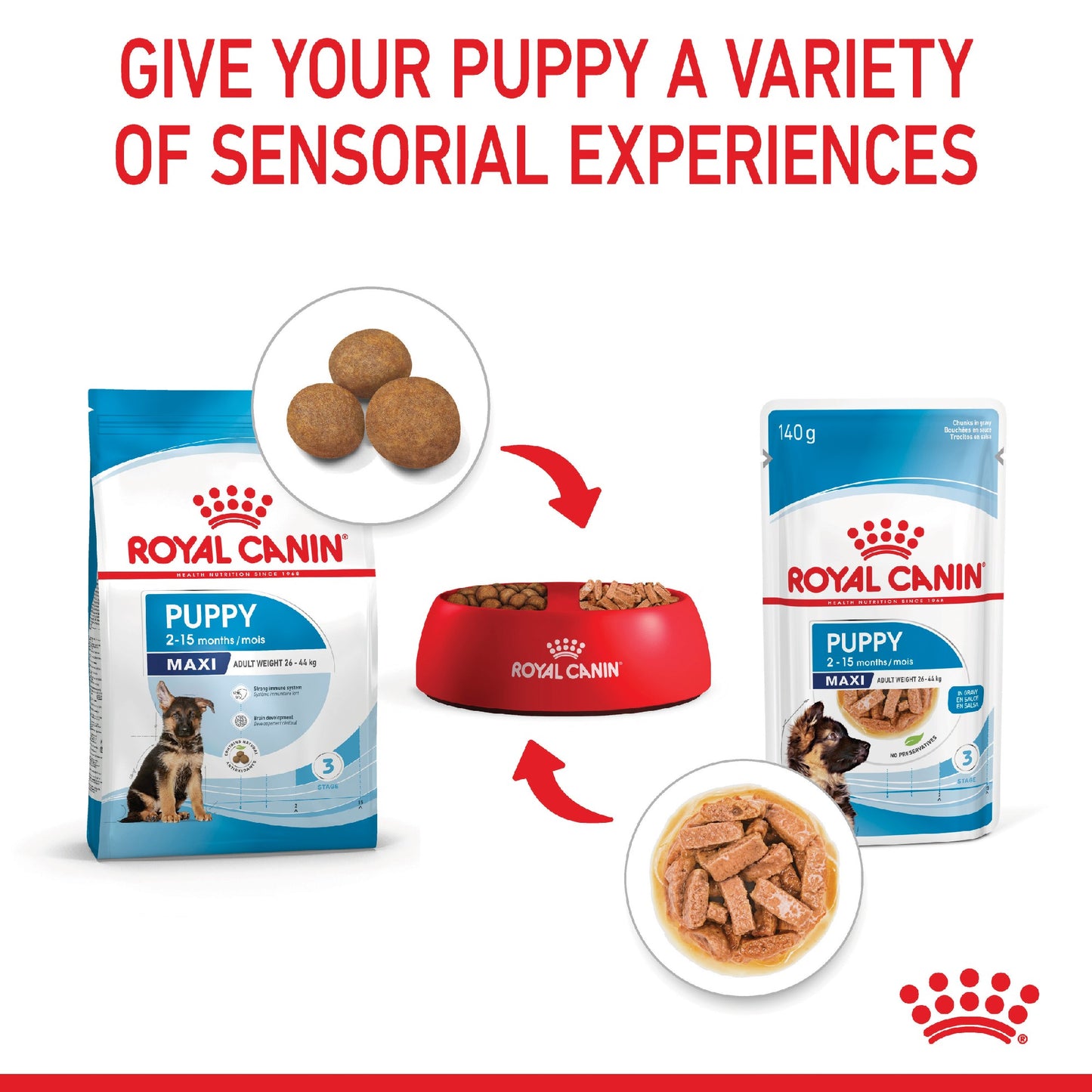 Royal Canin Dog Maxi Puppy 140g Pouch