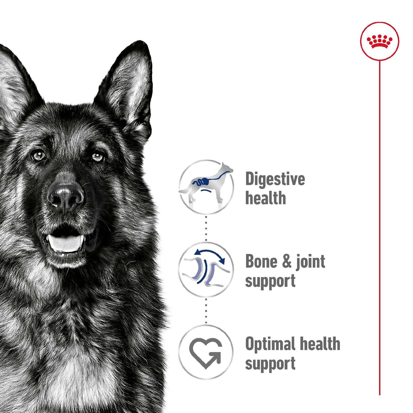 Royal Canin Dog Maxi Adult 140g Pouch