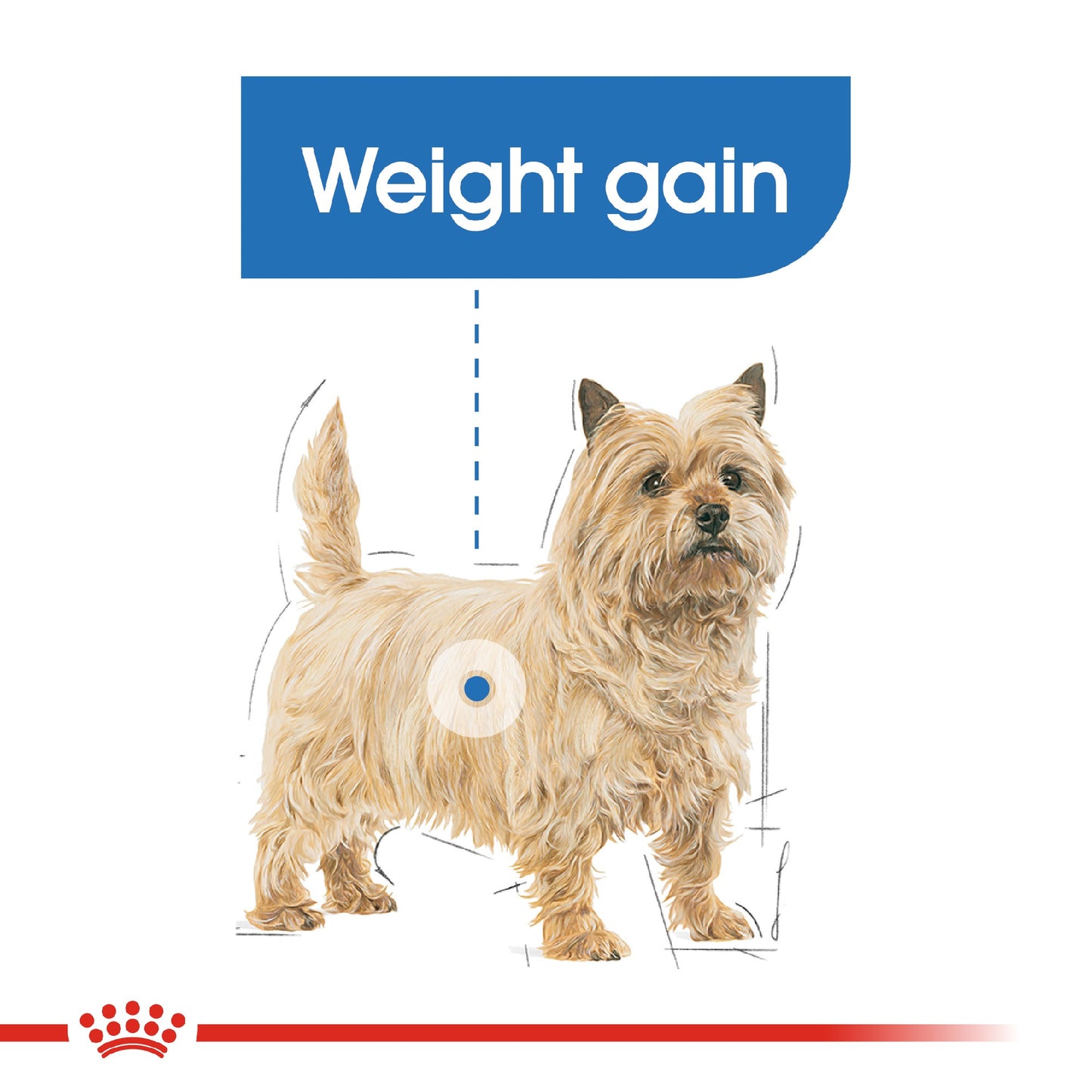 Royal Canin Dog Light Weight Care Loaf 85g Pouch
