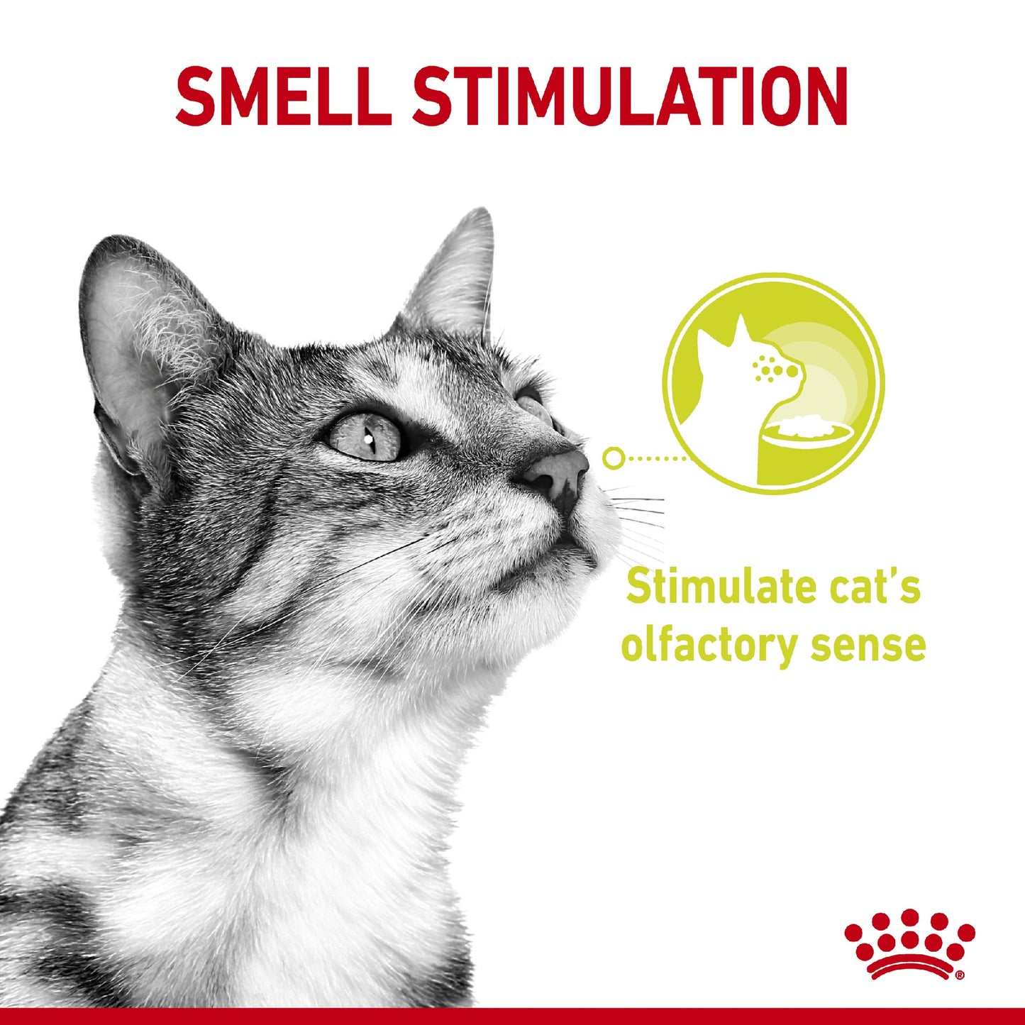 Royal Canin Cat Sensory Smell Gravy Feline 85g Pouch