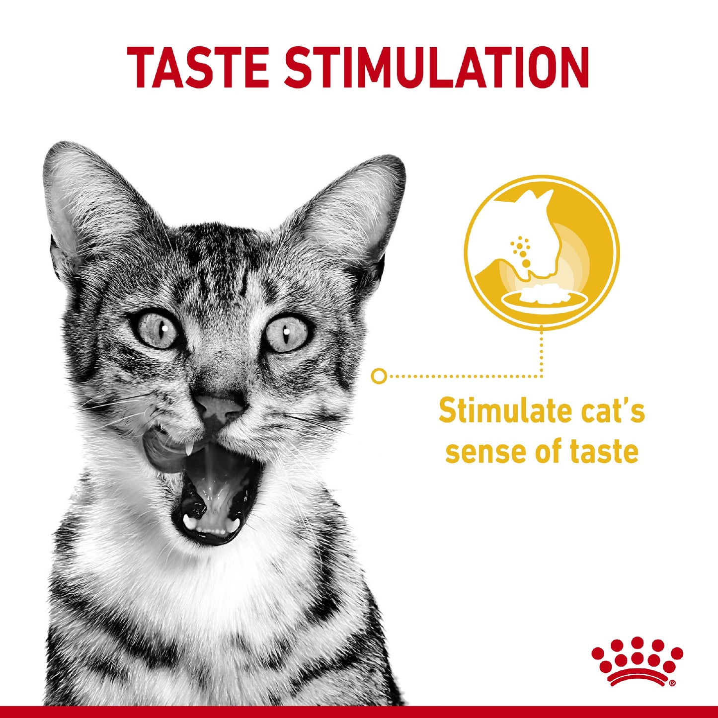 Royal Canin Cat Sensory Taste Gravy 85g Pouch
