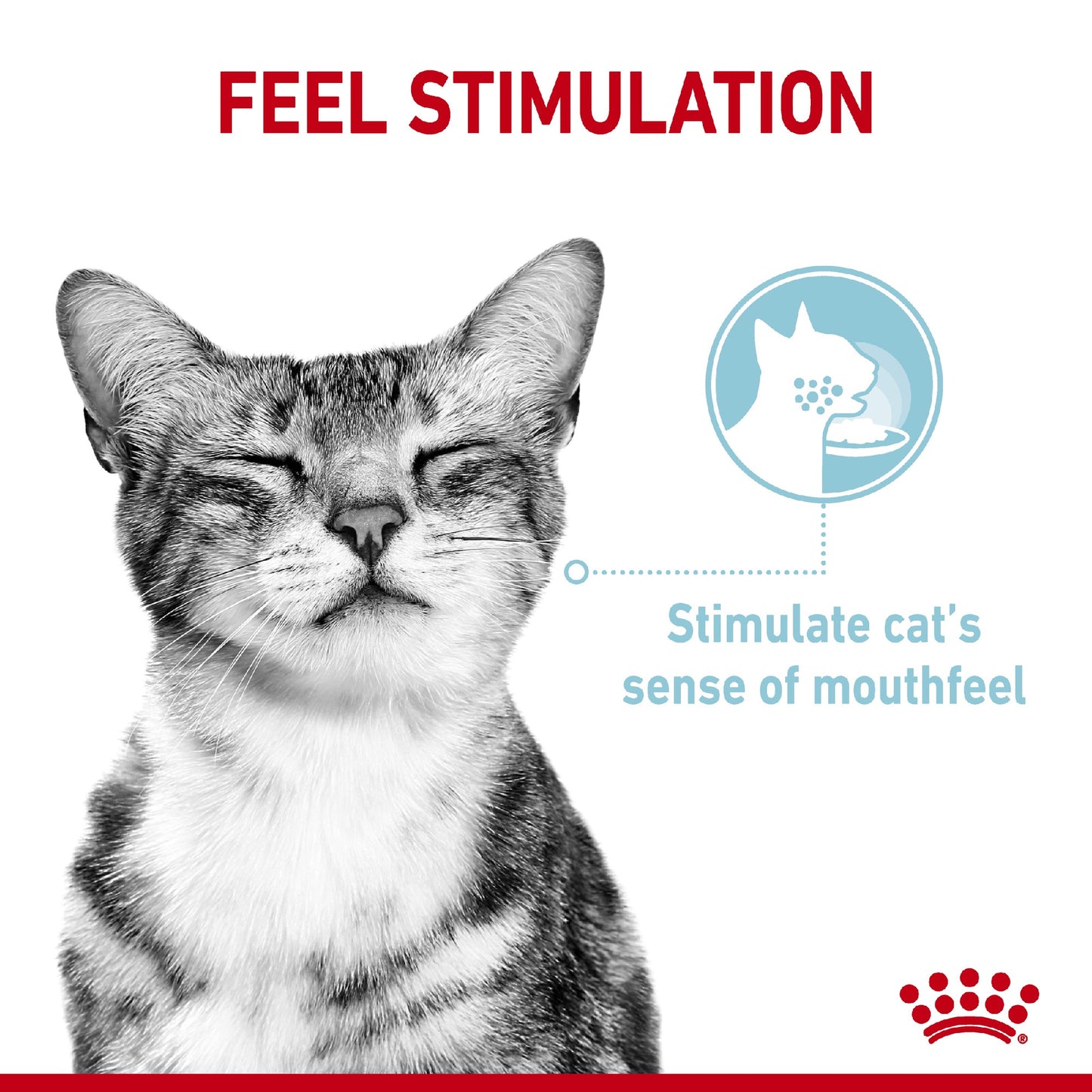 Royal Canin Cat Sensory Feel Gravy 85g Pouch