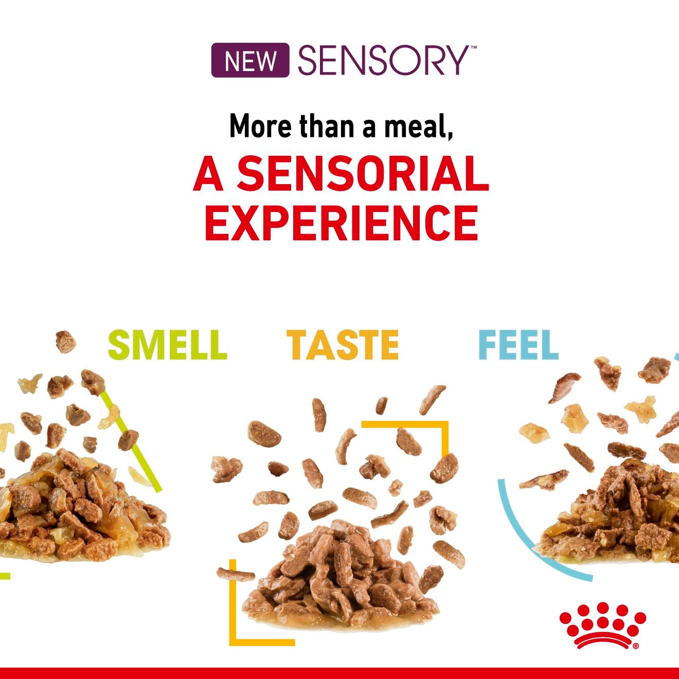Royal Canin Cat Sensory Feel Jelly 85g Pouch