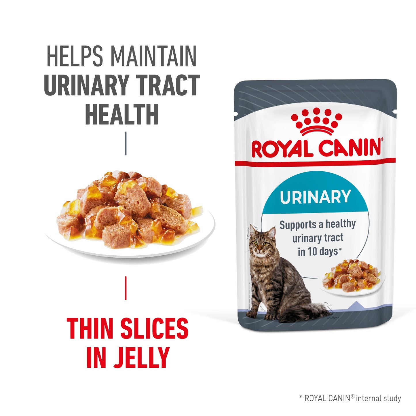 Royal Canin Cat Urinary Care In Jelly 85g Pouch