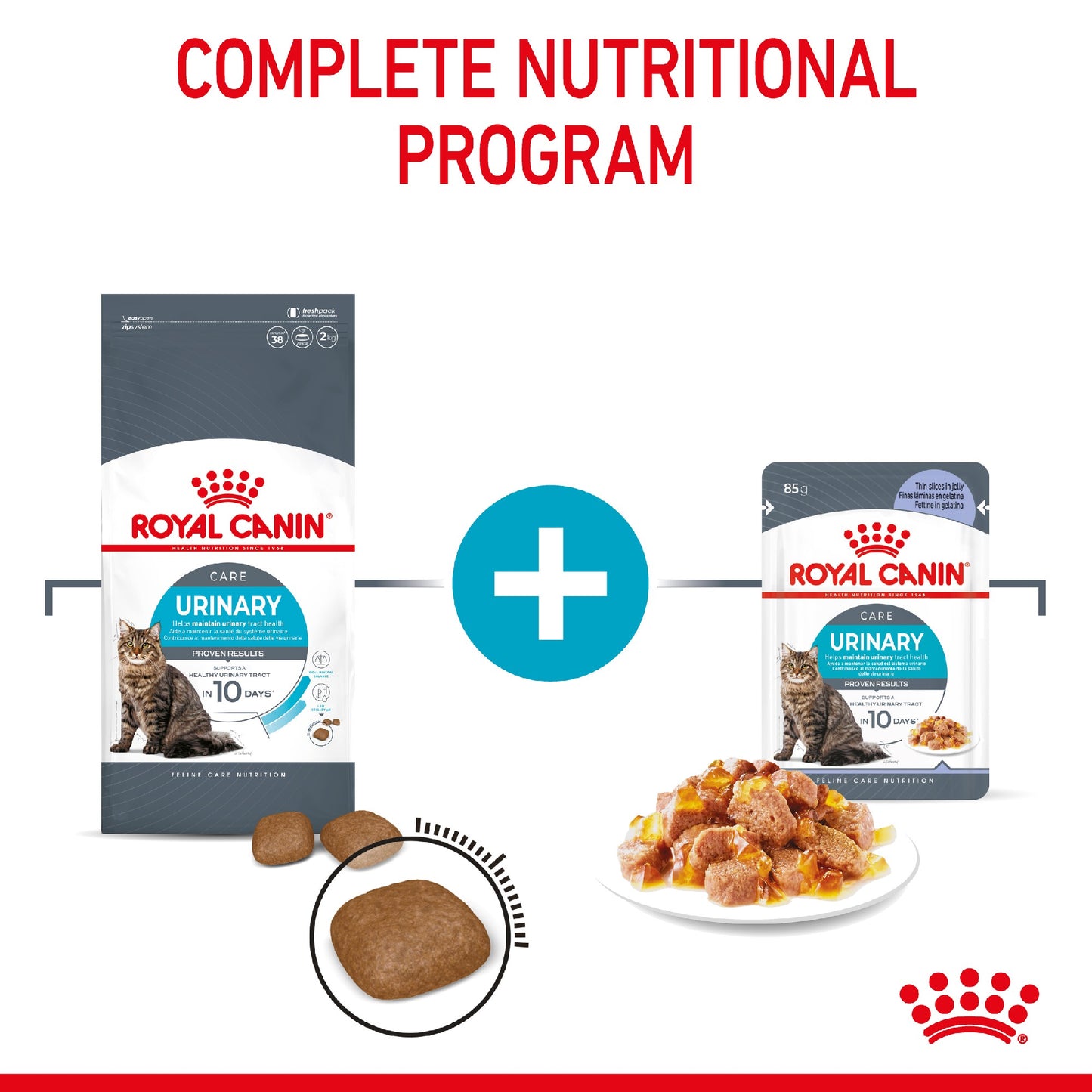 Royal Canin Cat Urinary Care In Jelly 85g Pouch