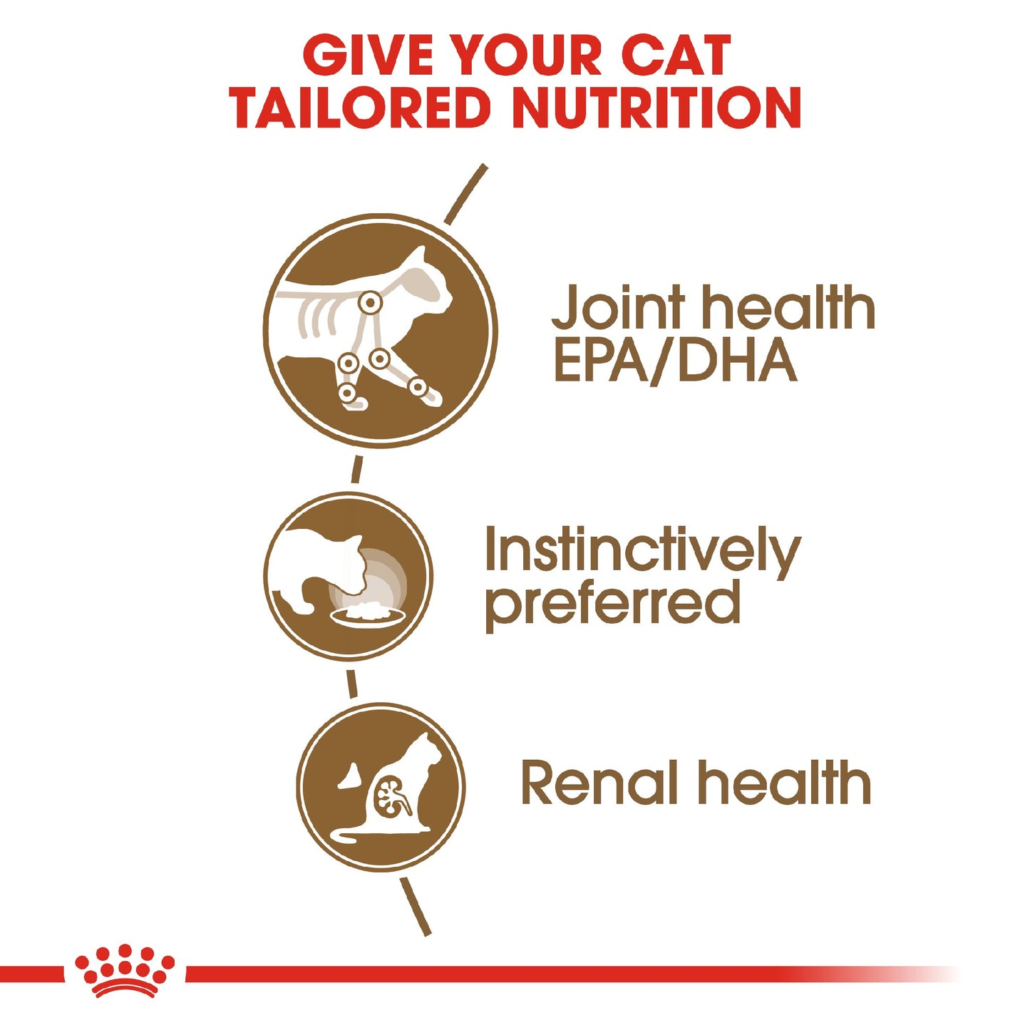 Royal Canin Cat Ageing 12+ Jelly 85g Pouch