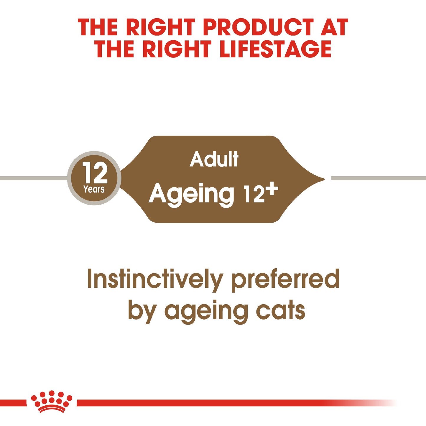 Royal Canin Cat Ageing 12+ Jelly 85g Pouch