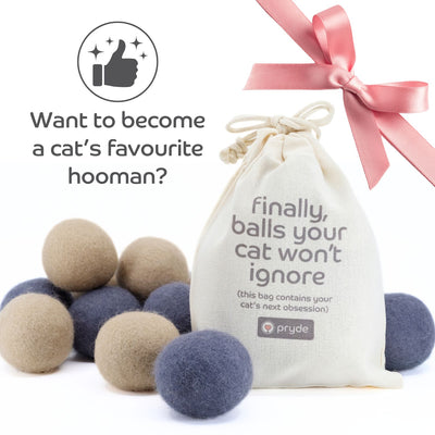 Pryde Pets Claw-some Felt Wool Balls (Set of 5) Charcoal / Oatmeal
