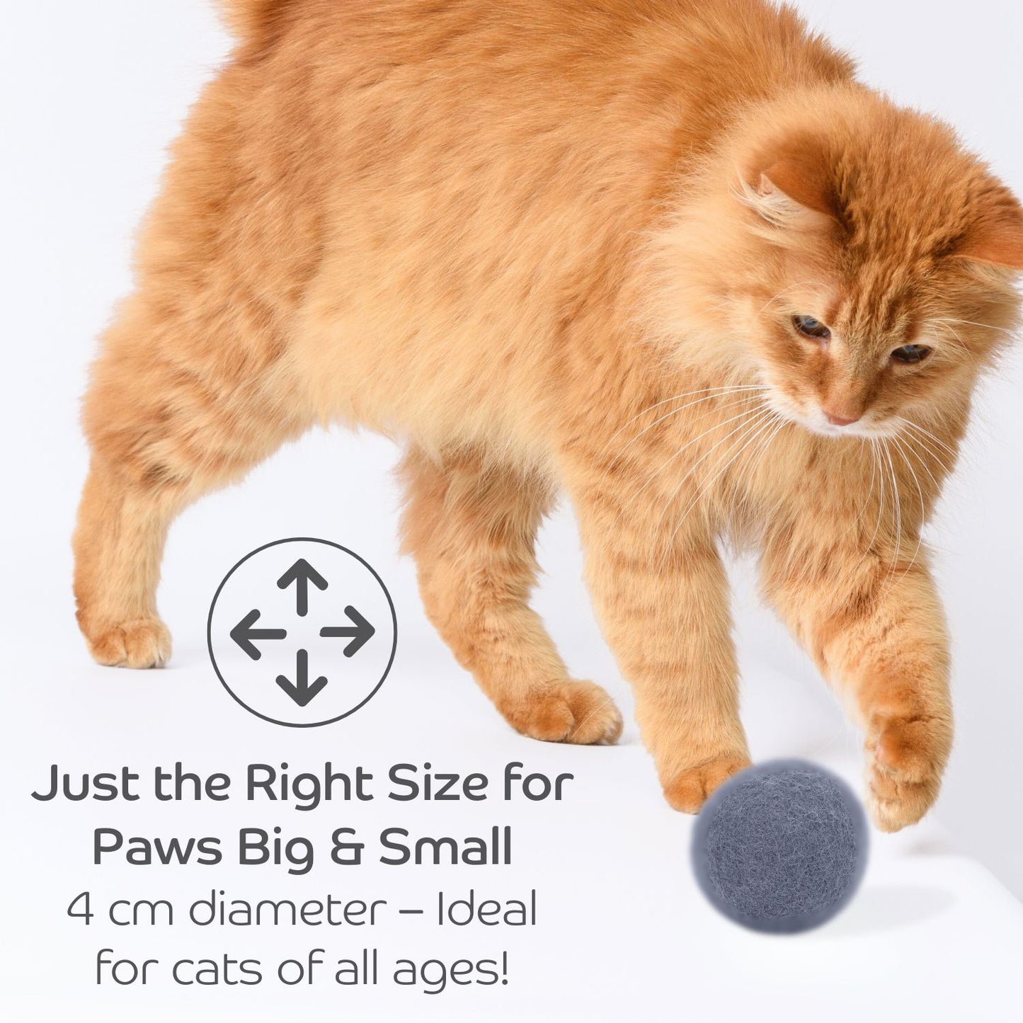 Pryde Pets Claw-some Felt Wool Balls (Set of 5) Charcoal / Oatmeal