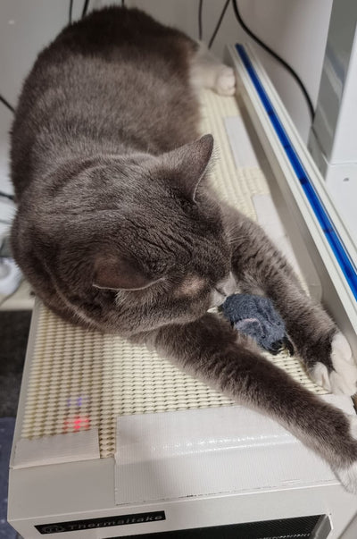 Pryde Pets Handmade Felt Mouse Toy Grey