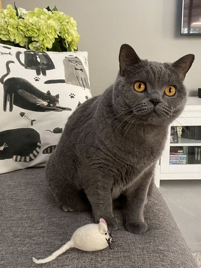 Pryde Pets Handmade Felt Mouse Toy White